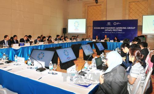 Đảm bảo sử dụng, phát triển bền vững nguồn lợi thủy sản khu vực châu Á-Thái Bình Dương 